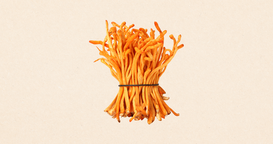 Cordyceps: The Adaptogen That Powers Performance
