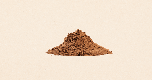Pine Bark Extract: A Circulation-Boosting Brain Defender